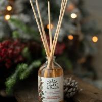 16 praline de noel diffuseur